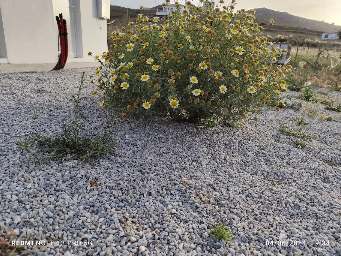IMG 20240604 193423