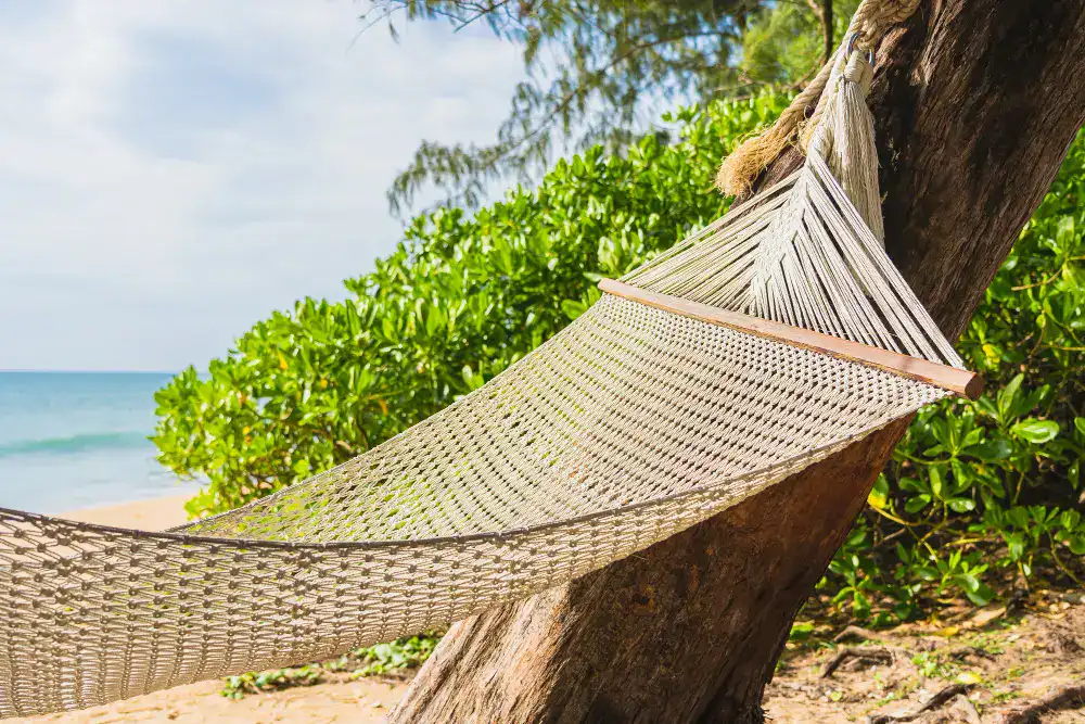 empty hammock tropical beach sea ocean leisure relax vacation travel
