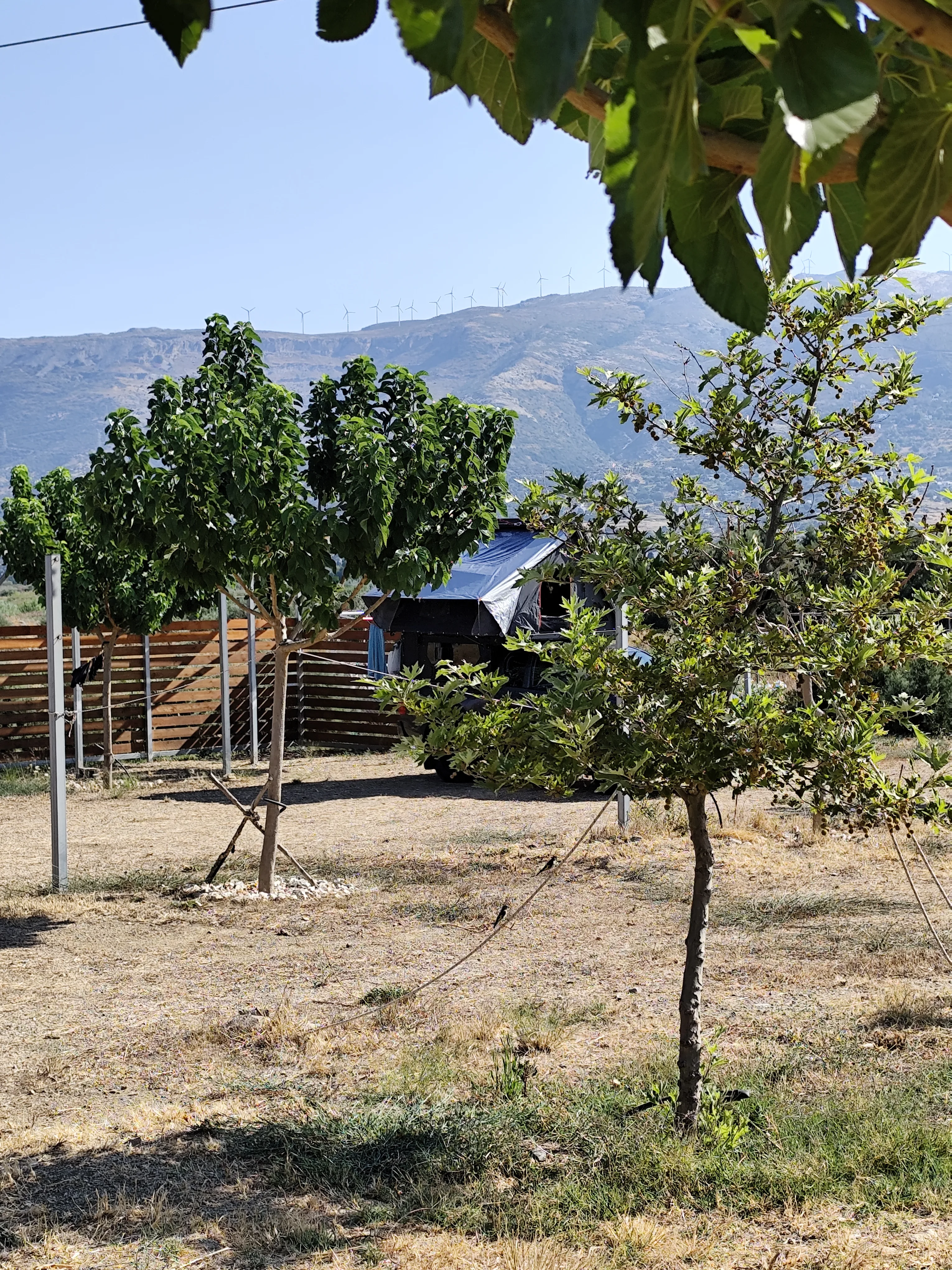 Camping karystos 1000018237
